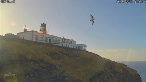 Cliff Cam 2 live frame